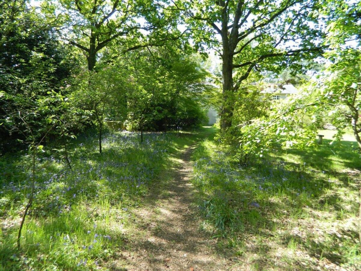 River Cottage A Country Retreat In Wooded Gardens East Stoke  Exterior foto
