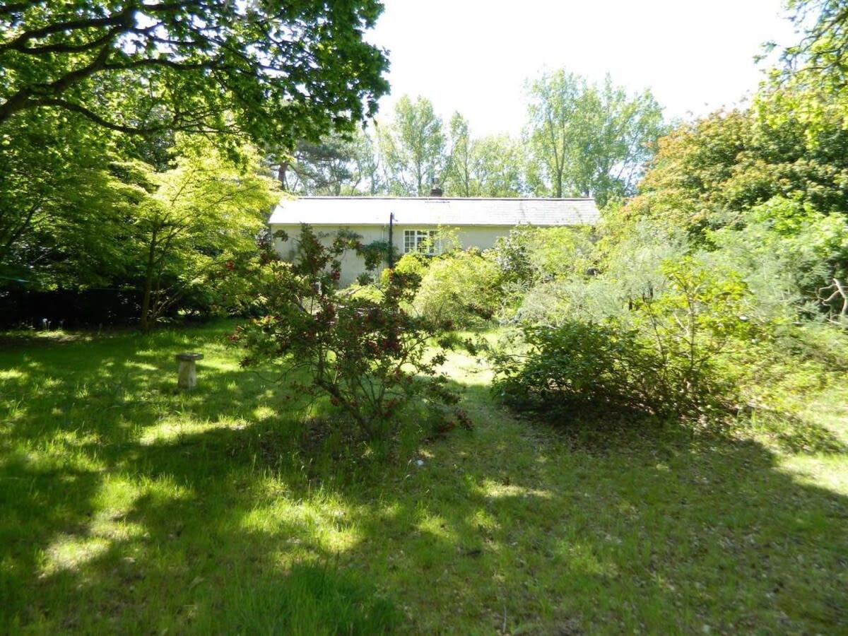 River Cottage A Country Retreat In Wooded Gardens East Stoke  Exterior foto