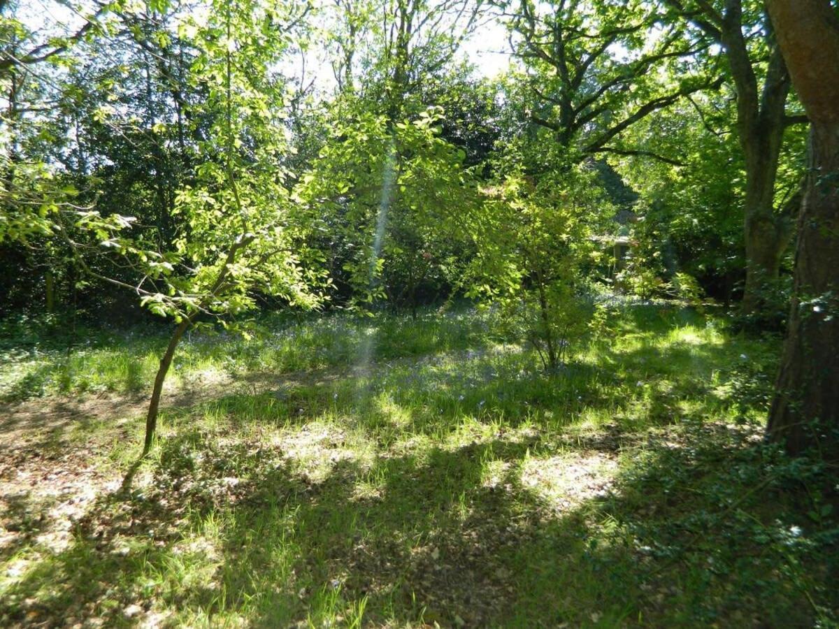 River Cottage A Country Retreat In Wooded Gardens East Stoke  Exterior foto